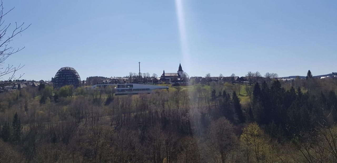 Ferienwohnung Haus Ruhrkopfblick Винтерберг Екстериор снимка