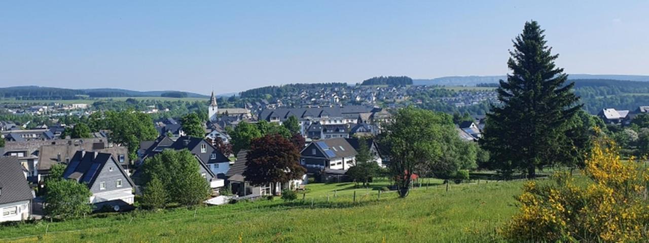 Ferienwohnung Haus Ruhrkopfblick Винтерберг Екстериор снимка